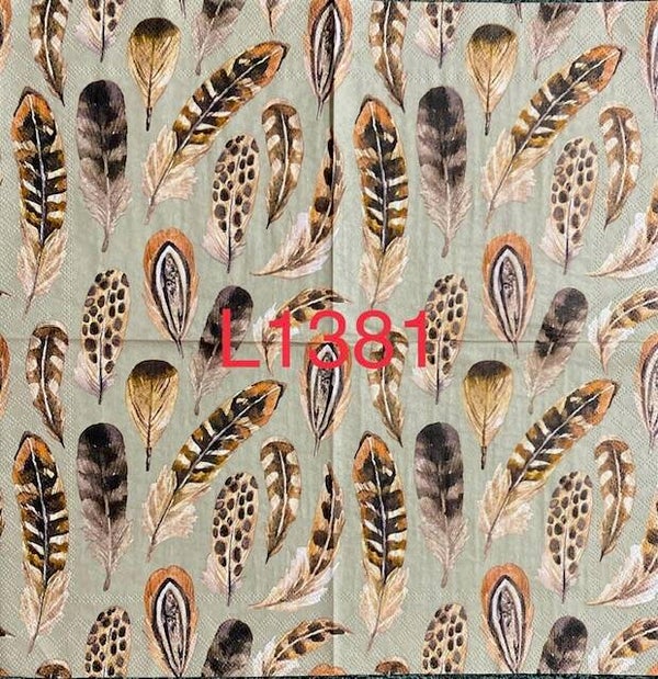 Birds (L1381) - Feathers