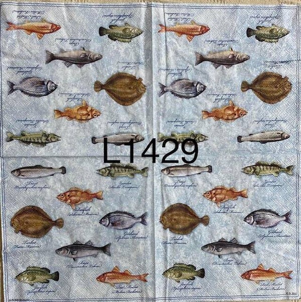 Beach (L1429) - Fish