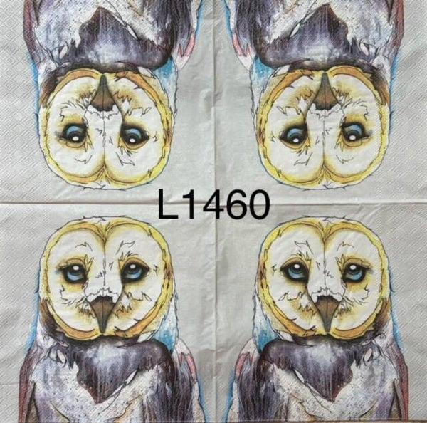 Birds (L1460) - Owl