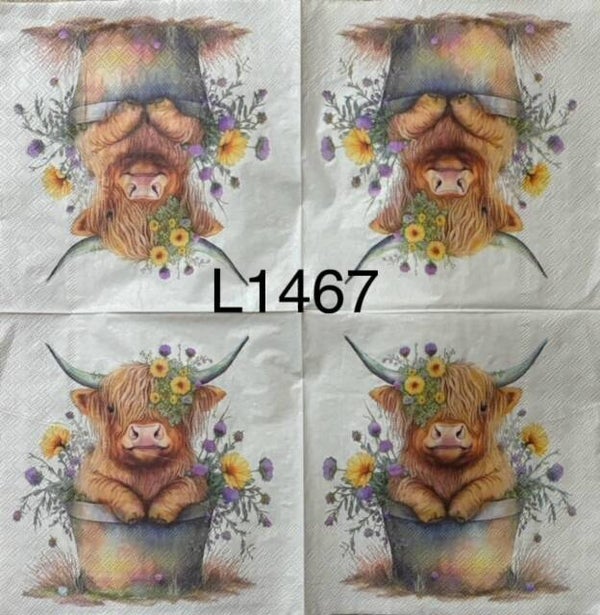 Cows (L1467) - Highland Cow
