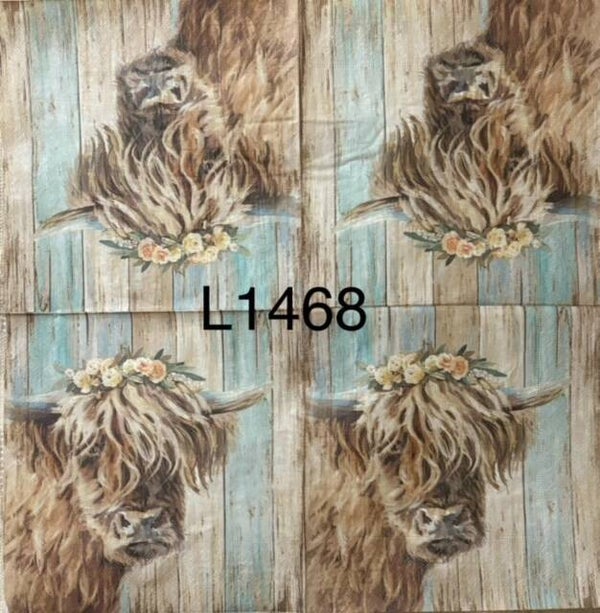 Cows (L1468) - Highland Cow