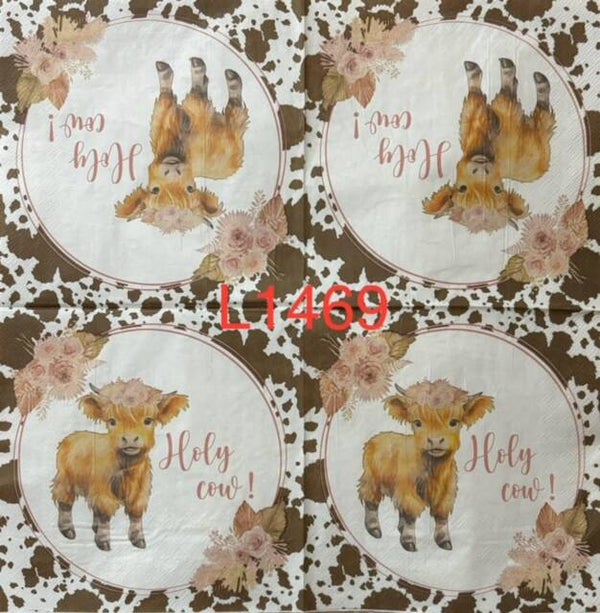 Cows (L1469) - Highland Cow