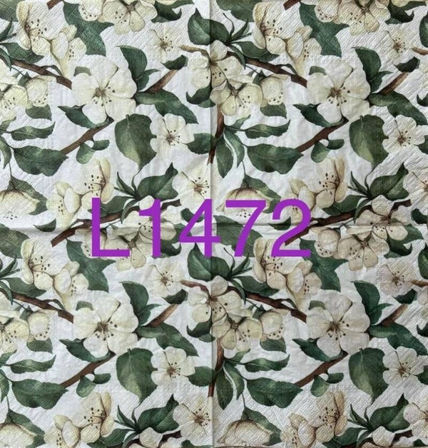 Flowers (L1472) - Magnolias