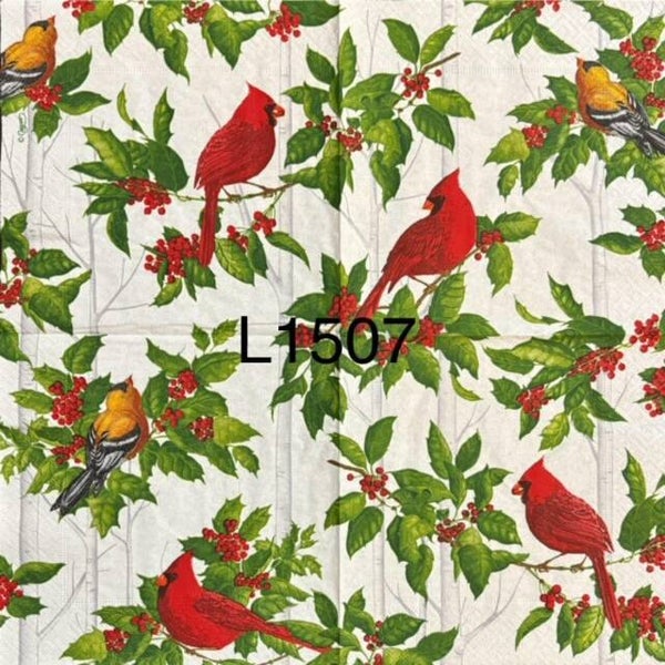 Winter (L1507) - Cardinals