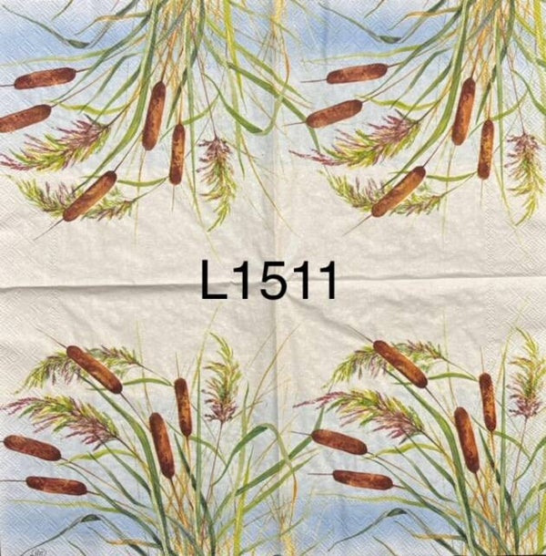 Plants (L1511) - Cattails