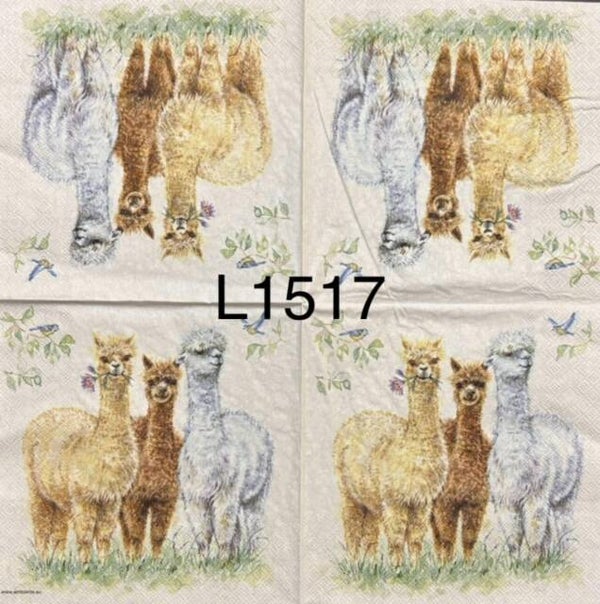 Animals (L1517) - Llamas