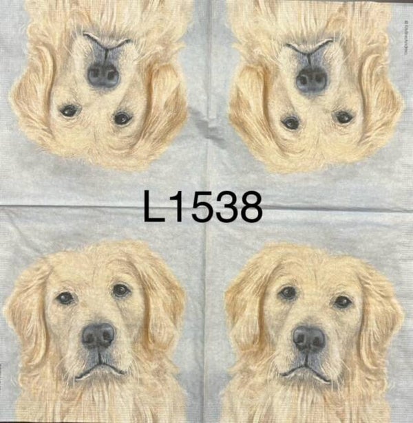 Dogs (L1538) - Farm Dog