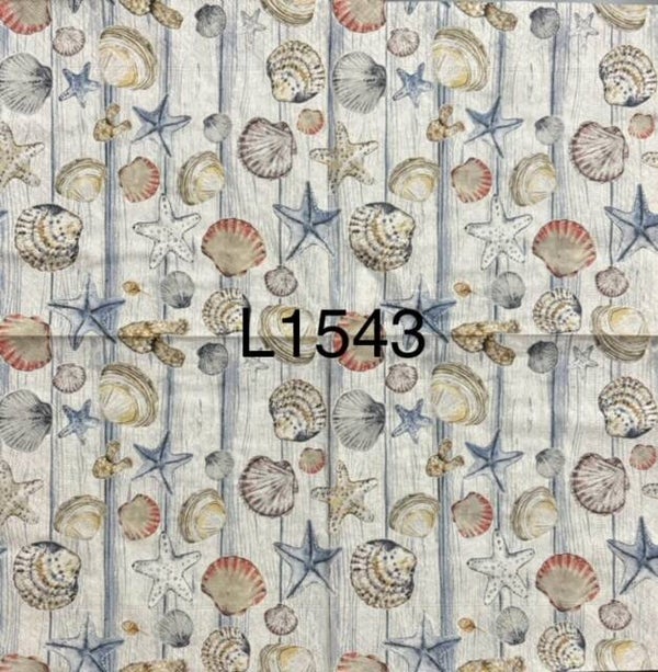 Beach (L1543) - Shells