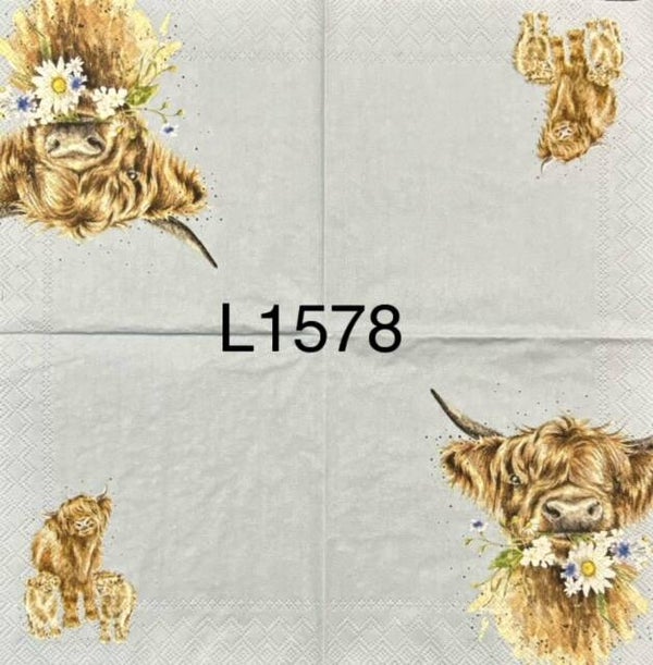 Cows (L1578) - Highland Cow