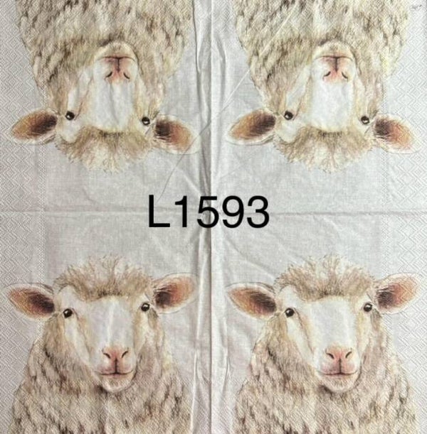 Animals (L1593) - Farm Sheep