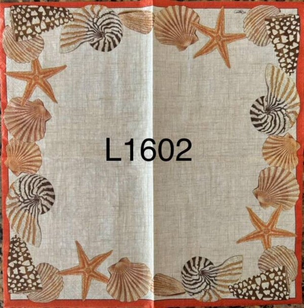 Beach (L1602) - Shells
