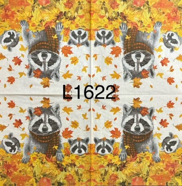 Fall (L1622) - Raccoons in Fall Leaves