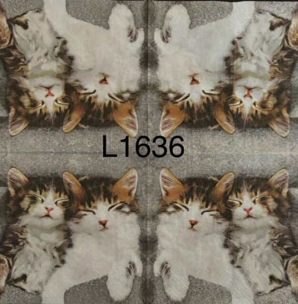 Cats (L1636) - Two Kittens