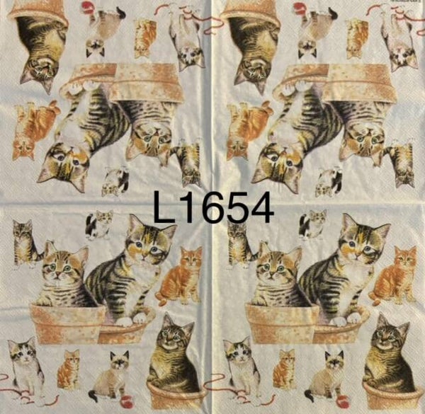 Cats (L1654/1690) - Cats in Pots