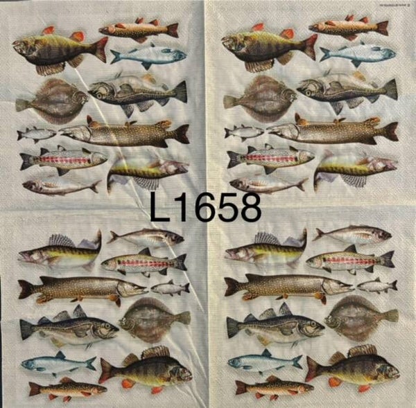 Beach (L1658) - Fish