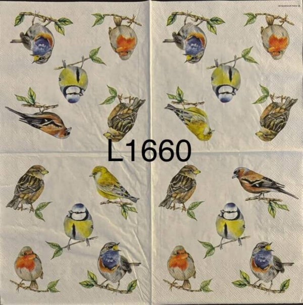 Birds (L1660) - Assortment of Birds