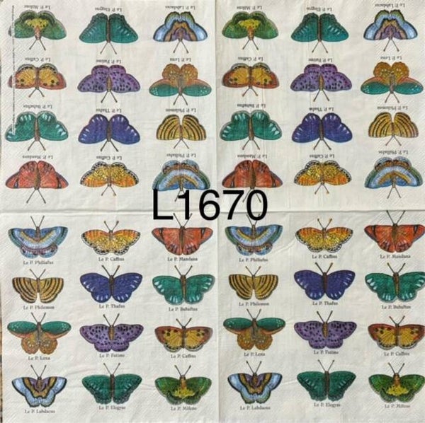 Butterflies (L1670) - Butterflies