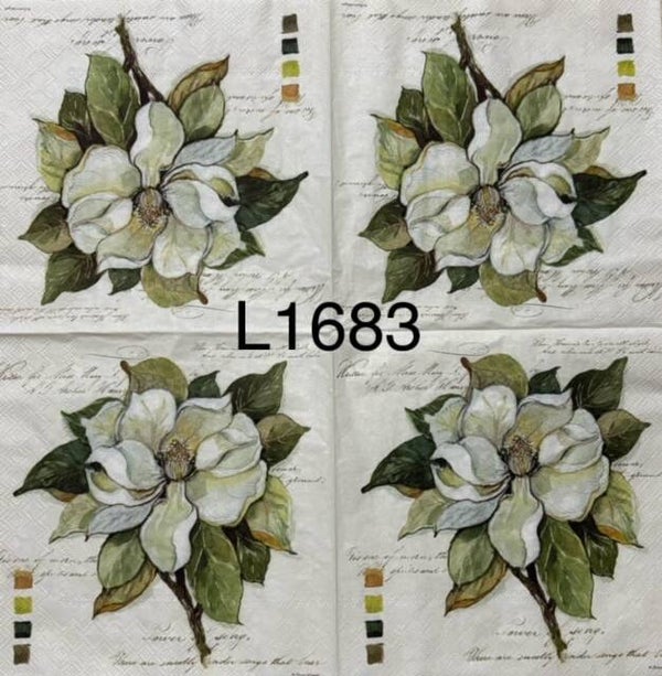 Flowers (L1683) - Magnolias