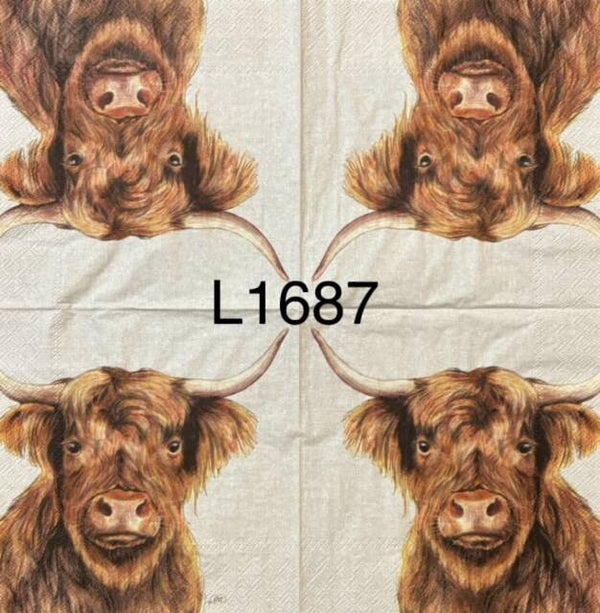 Cows (L1687) - Highland Cow
