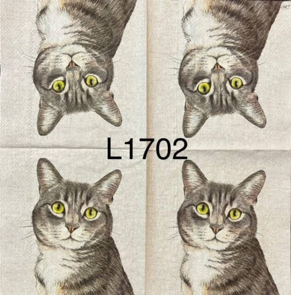 Cats (L1702) - Farm Cat