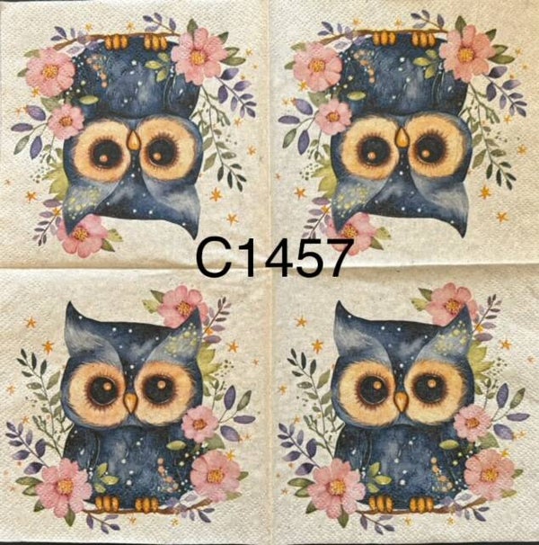 Birds (C1457) - Grass Pulp Magic Owl