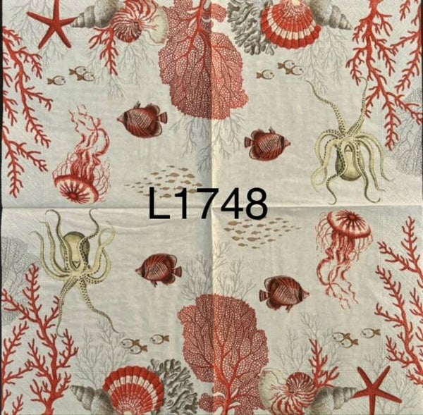 Beach (L1748) - Coral Reef
