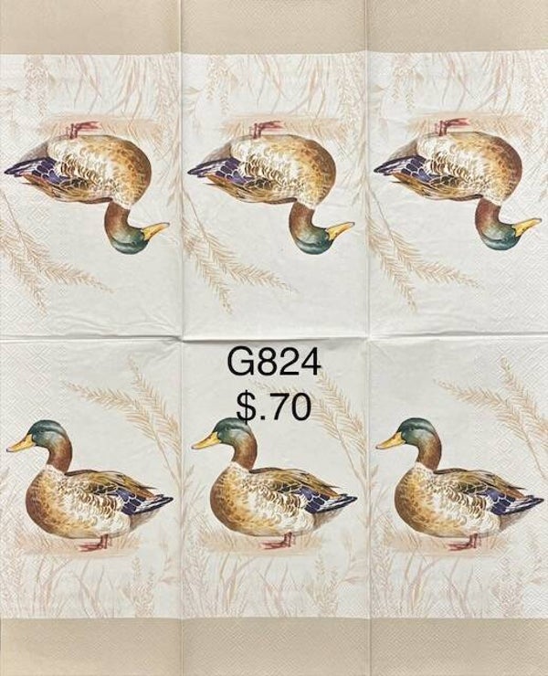 Birds (G824) - Mallard Duck