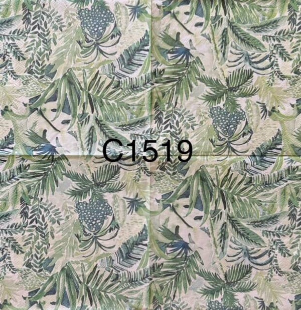 Plants (C1519) - Palm Fronds