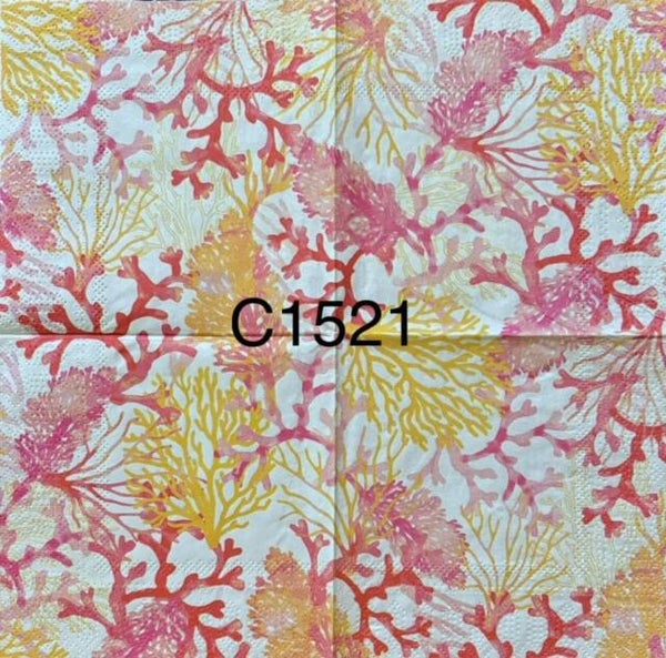 Beach (C1521) - Coral Reef