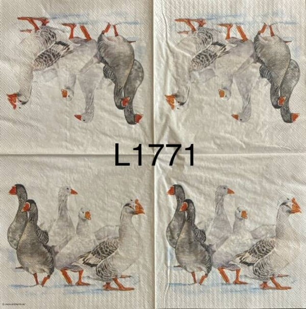 Birds (L1771) - Group of Geese