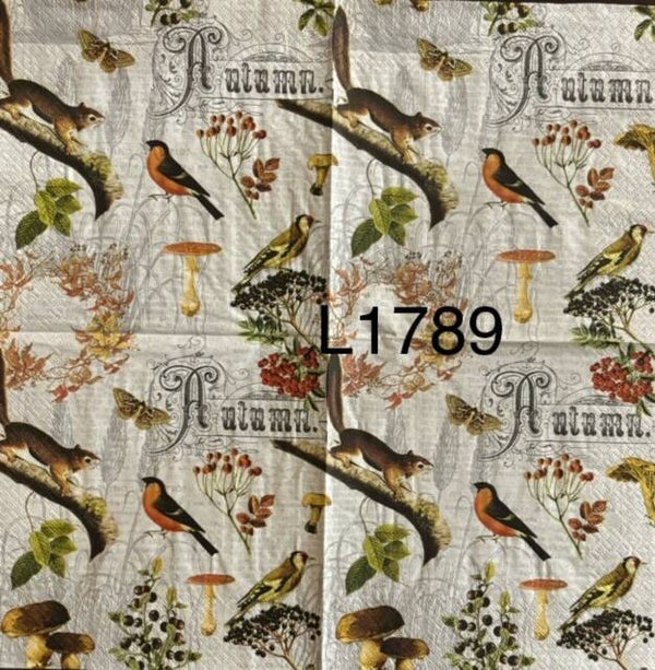 Fall (L1789) - Birds, Squirrels and Mushrooms