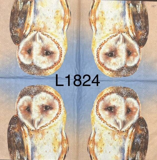 Birds (L1824) - Evie the Owl