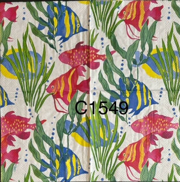 Beach (C1549) - Fish and Reef