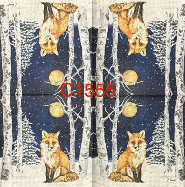 Winter (C1555) - Winter Fox
