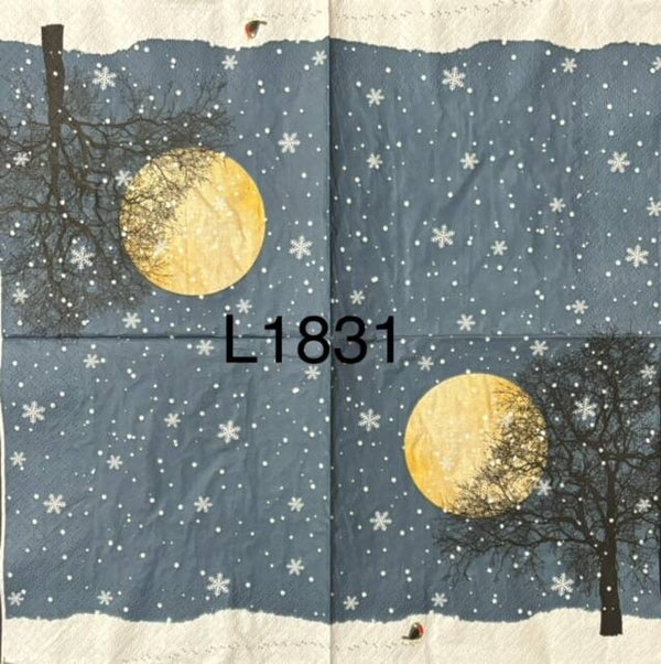 Winter (L1831) - Winter Night