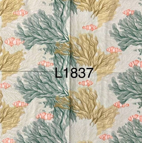 Beach (L1837) - Clown Fish