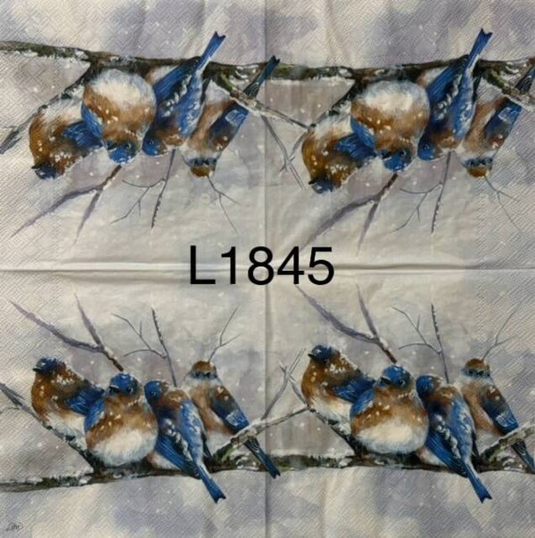 Winter (L1845) - Cuddly Blue Birdies