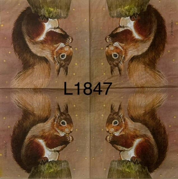 Animals (L1847) - Judy the Squirrel