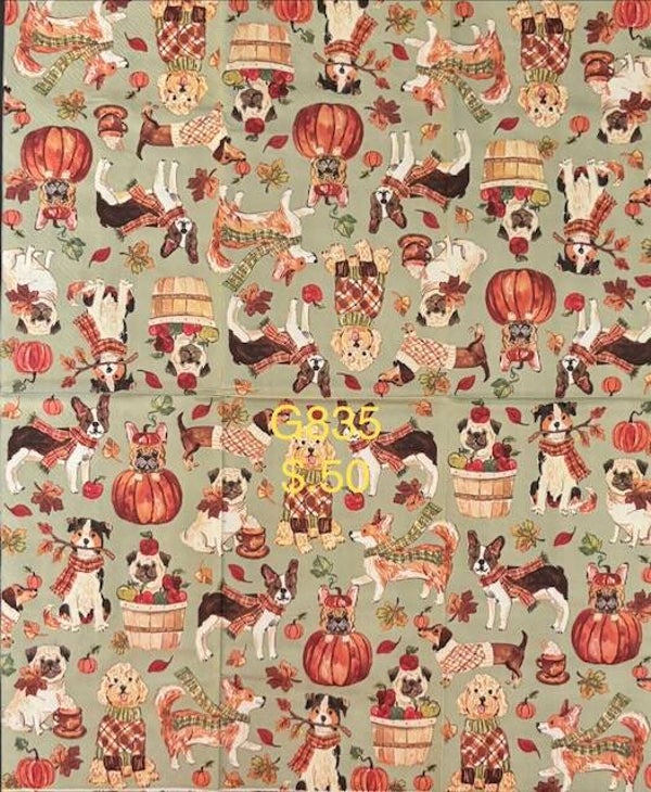 Fall (G835) - Dogs in Fall Clothing and Foods