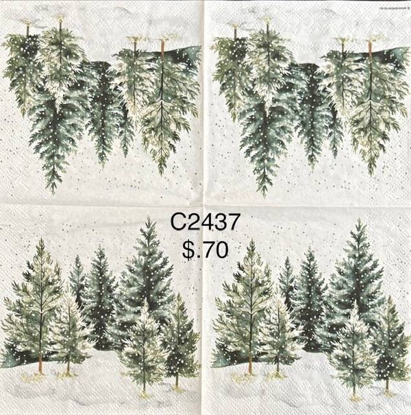Winter (C2437) - Evergreen Trees