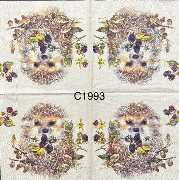 Animals (C1993) - Hedgehog with Berries