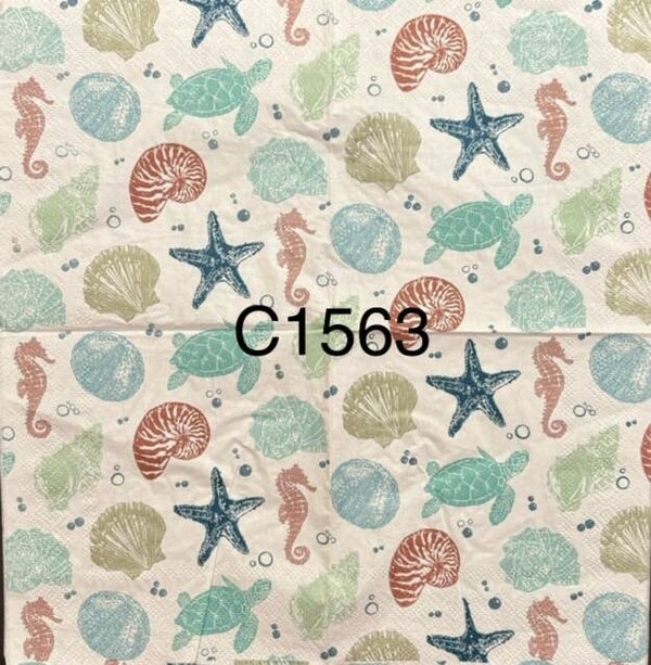 Beach (C1563) - Shells