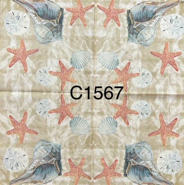 Beach (C1567) - Conch Shell