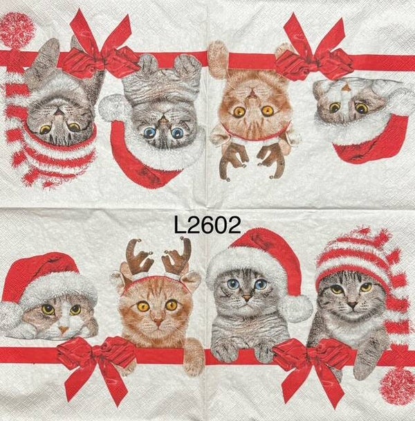 Christmas (L2602) - Two Christmas Cats Wearing Hats On Top of Present with Ribbon