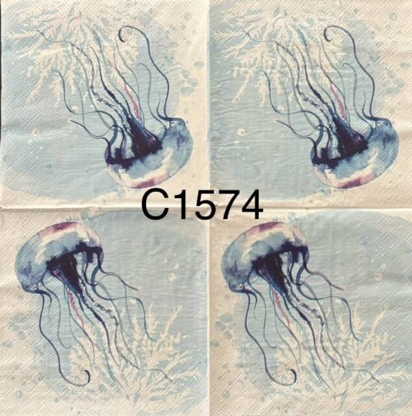 Beach (C1574) - Jellyfish