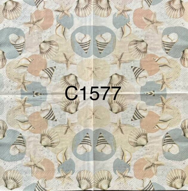 Beach (C1577) - Shells