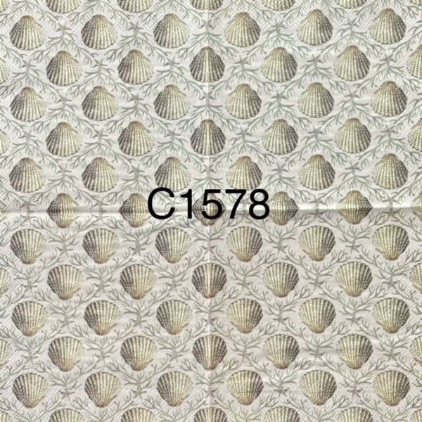 Beach (C1578) - Clams