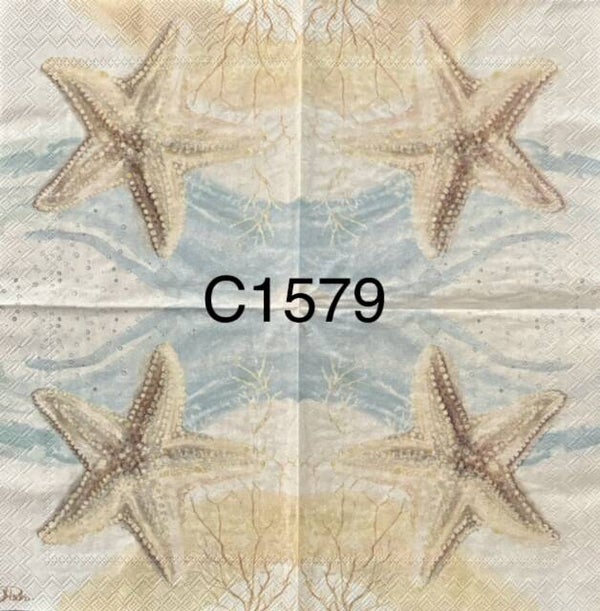 Beach (C1579) - Starfish