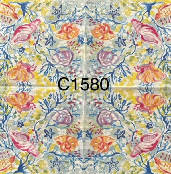 Beach (C1580) - Shells