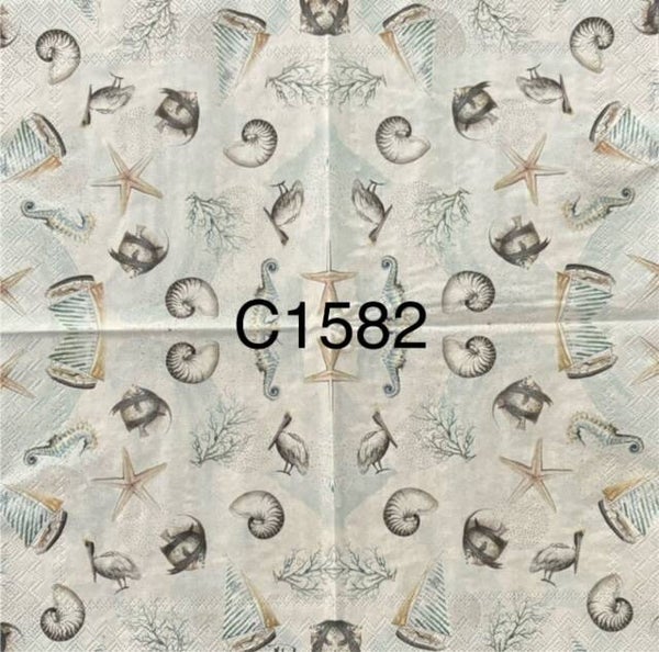 Beach (C1582) - Shells